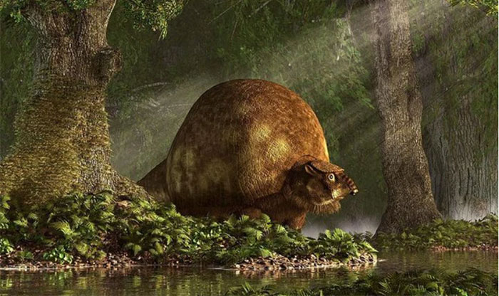 Các chuyên gia khảo cổ xác nhận "quả trứng" khổng lồ đó là mai của một con Glyptodont.