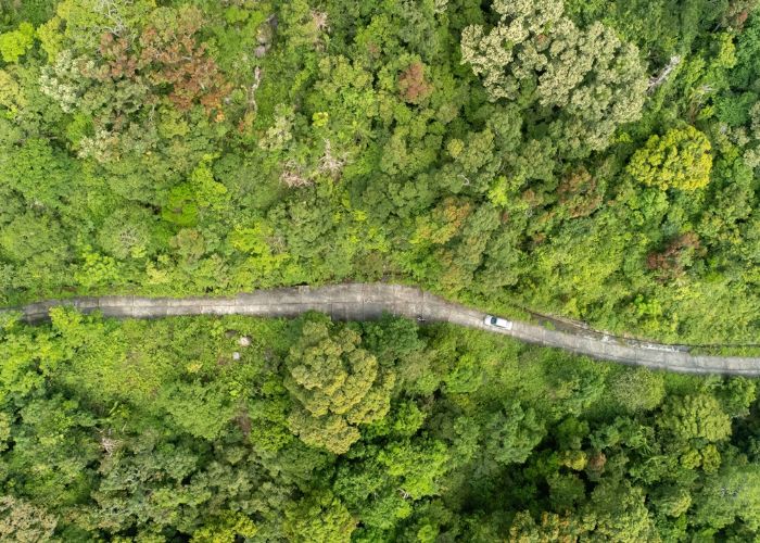 Lựa chọn thời gian tham quan với kinh nghiệm du lịch bán đảo Sơn Trà