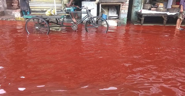 Tại sao một số vùng trên Trái đất lại xuất hiện hiện tượng "mưa máu"?