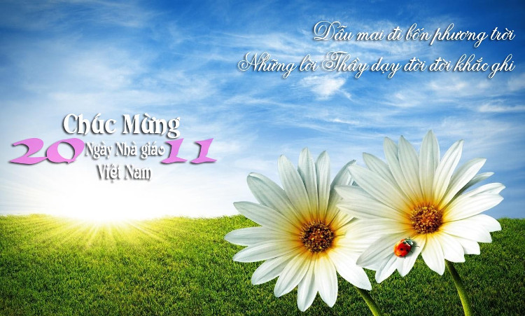 Lần đầu tiên ngày "Quốc tế Hiến chương các nhà giáo" được tổ chức trên toàn miền Bắc nước ta vào ngày 20/11/1958.