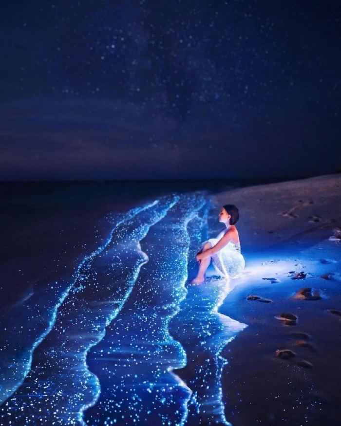 Cẩm nang du lịch Maldives Cẩm nang du lịch Maldives