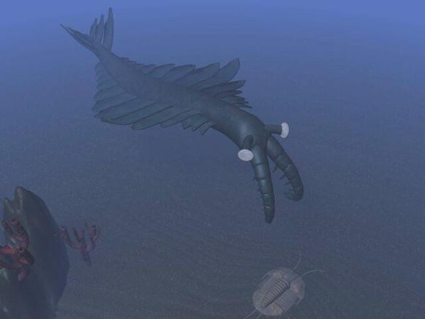 Con Anomalocaris. Con Anomalocaris.