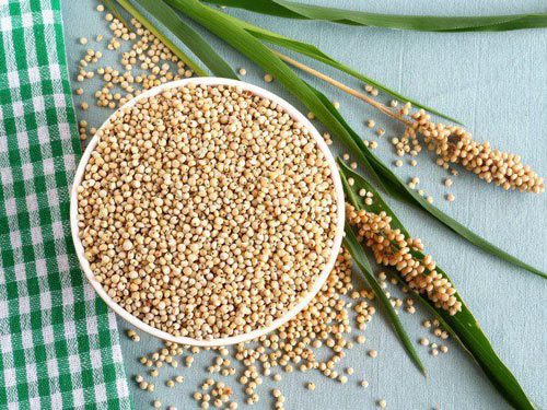Hạt bo bo đến với người Việt thời bao cấp