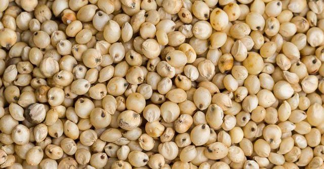 Sự thật cực thú vị về huyền thoại bo bo thời bao cấp