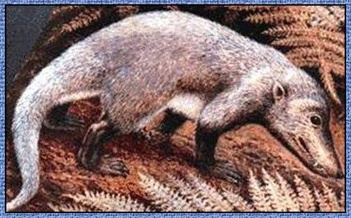 Con Cynodonts. Con Cynodonts.