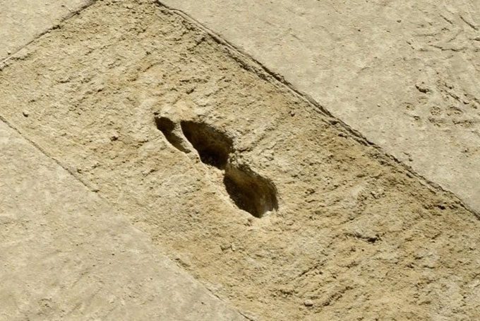 Dấu chân "ma quái" đầy bí ẩn trên sa mạc.