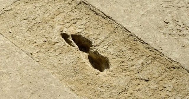 Bí ẩn dấu chân "ma quái" ở sa mạc: Chỉ hiện lên khi trời mưa, biến mất khi gặp ánh nắng Mặt trời