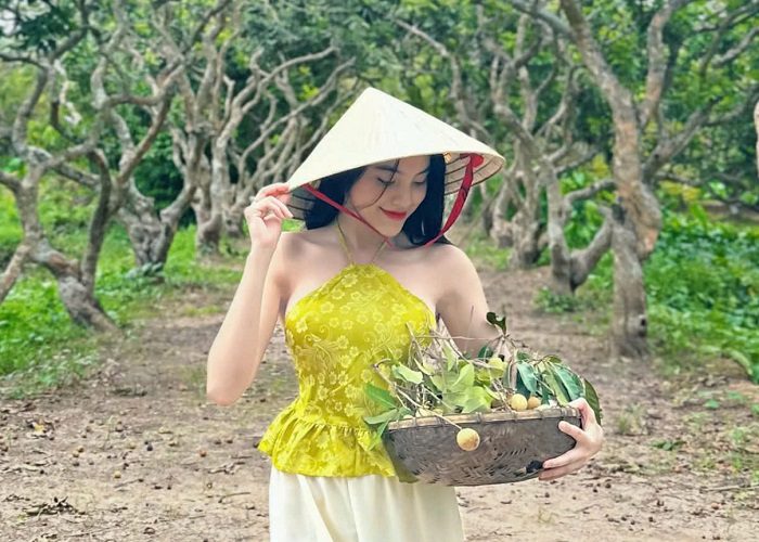 Gợi ý lịch trình du lịch Cồn Sơn Cần Thơ: Trải nghiệm trọn vẹn miền Tây dân dã