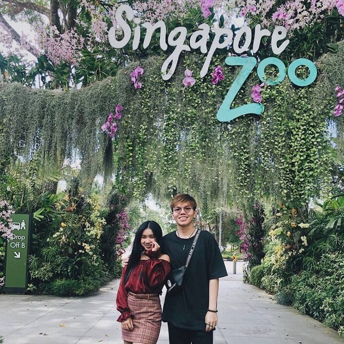 Du lịch Singapore - Singapore Zoo & Night Safari