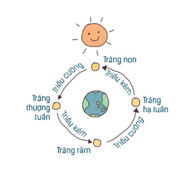Hiện tượng thủy triều là gì?