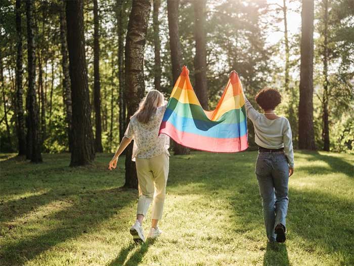 ngay-lgbt-3 Tại Việt Nam, "Việt Pride" cũng được tổ chức thường niên từ 2012.
