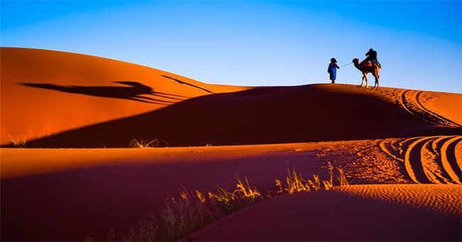 Những sự thật ít người biết về sa mạc Sahara