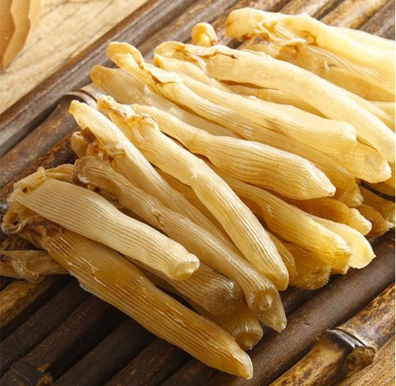 Sá sùng có tác dụng tốt trong điều trị nhiều loại bệnh.