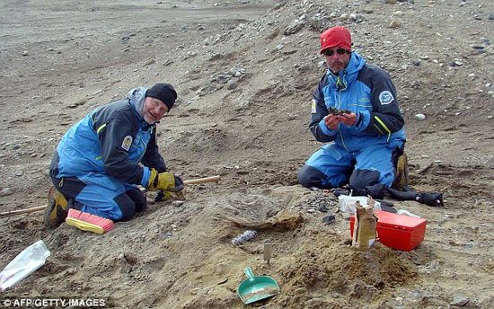 scientists_dinosaur Các nhà khoa học khai quật phần còn lại của những con khủng long được cho là một người họ hàng của cá voi hiện đại
