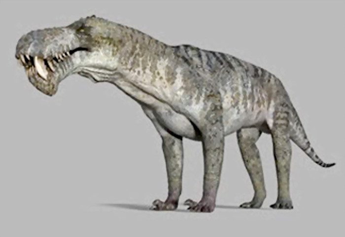 Loài Therapsids. Loài Therapsids.