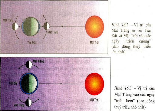 Giải thích hiện tượng thủy triều