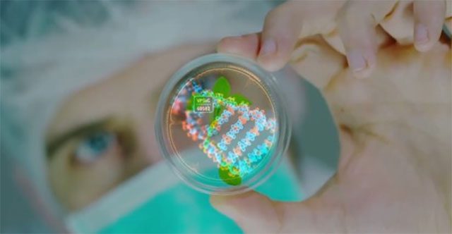 Các nhà khoa học tìm thấy dấu vết sửa đổi trong DNA: Liệu con người có phải là sản phẩm của "thiết kế"?