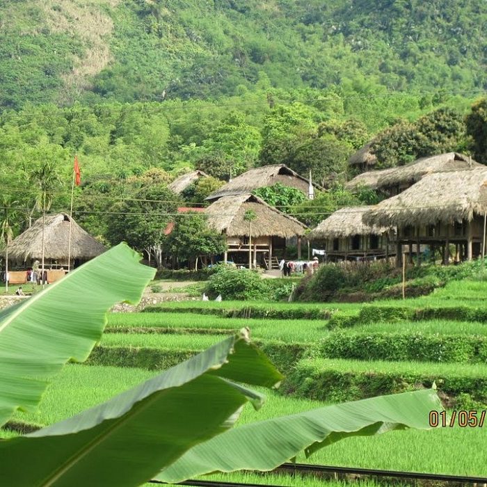 Bản Giang Mỗ là bản làng đẹp ở Hòa Bình là nơi để du khách tìm hiểu về cuộc sống của người Mường