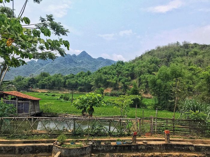 Bản Nhót là bản làng đẹp ở Hòa Bình với nét đẹp đặc trưng của làng quê Tây Bắc