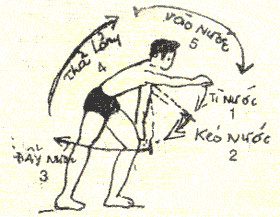 Học cách bơi sải.