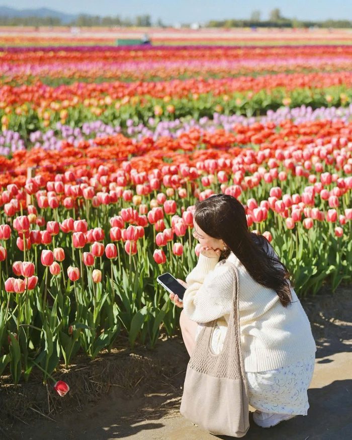 Các địa điểm du lịch Canada mùa xuân - Abbotsford