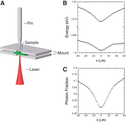 f1 Các nhà vật lý khẳng định sự tồn tại của trạng thái ngưng tụ polariton