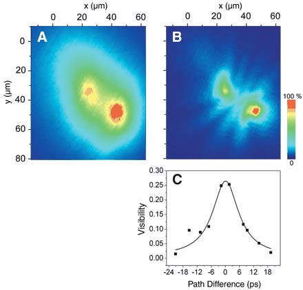 f6 Các nhà vật lý khẳng định sự tồn tại của trạng thái ngưng tụ polariton