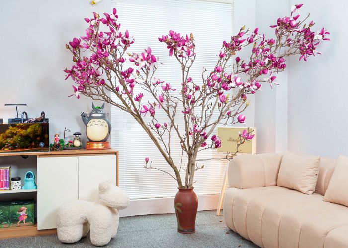 Vì sao ngày càng nhiều gia đình lựa chọn hoa Mộc Lan chơi Tết?