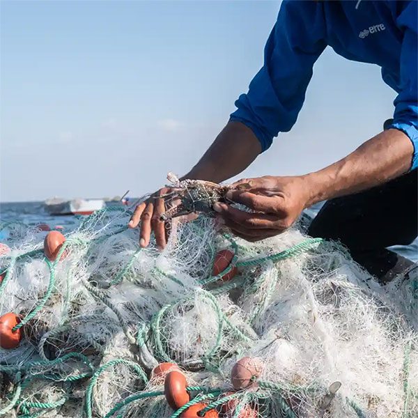 loai-cua-xam-lan-1 Không ai hiểu vì sao những con cua từ Ấn Độ Dương lại đến vùng biển Địa Trung Hải.