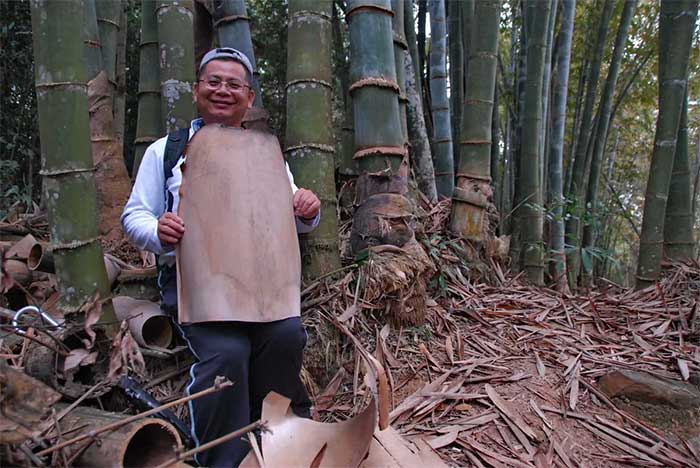 Tre khổng lồ được dùng để làm nguyên liệu cho xây dựng và các nghề thủ công.