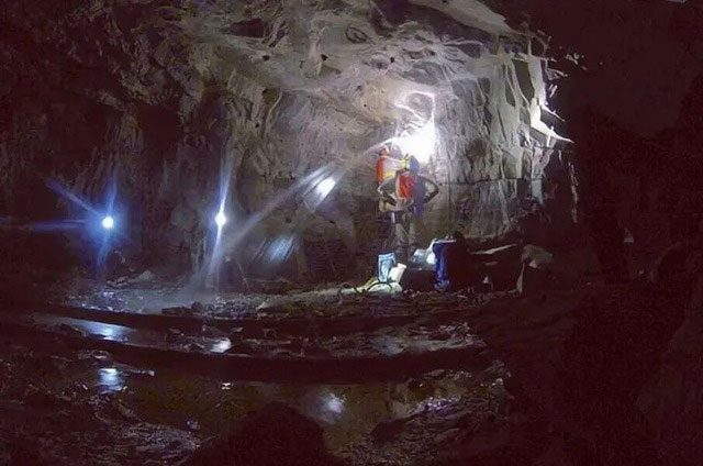 mo-vang Khi con người đào vàng ở những khu vực đặc biệt đã phát hiện 1 số dạng sống độc đáo.