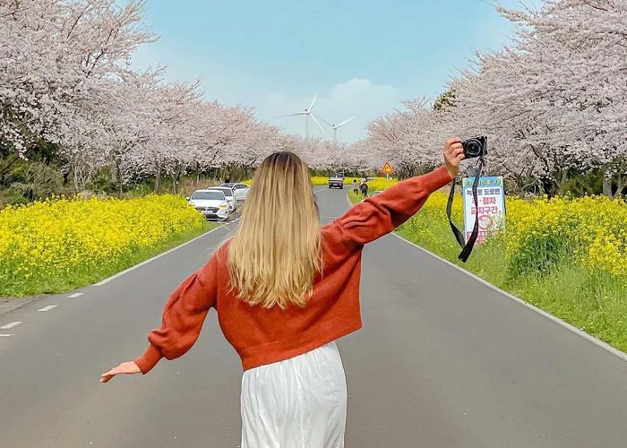 Mùa xuân Hàn Quốc nên đi đâu? 5 điểm đến không thể bỏ qua