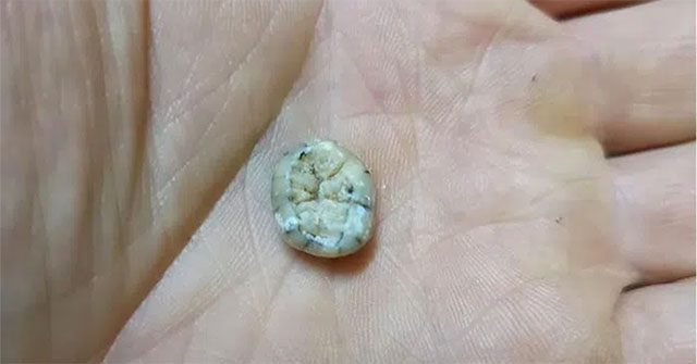 Phát hiện dấu vết "loài người ma" tuyệt chủng ở dãy Trường Sơn?