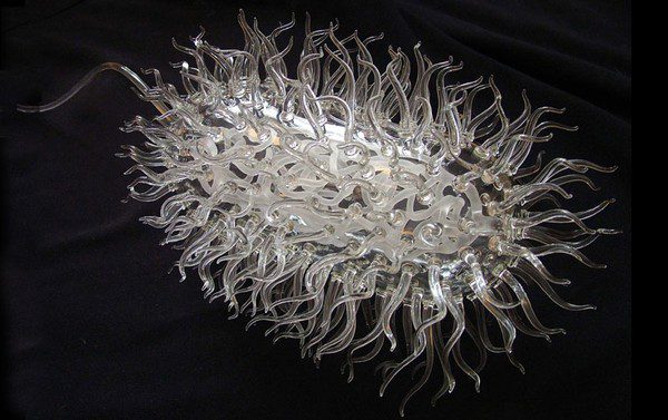 Vi khuẩn E.coli Khám phá ổ vi khuẩn đang ngủ chung giường với bạn