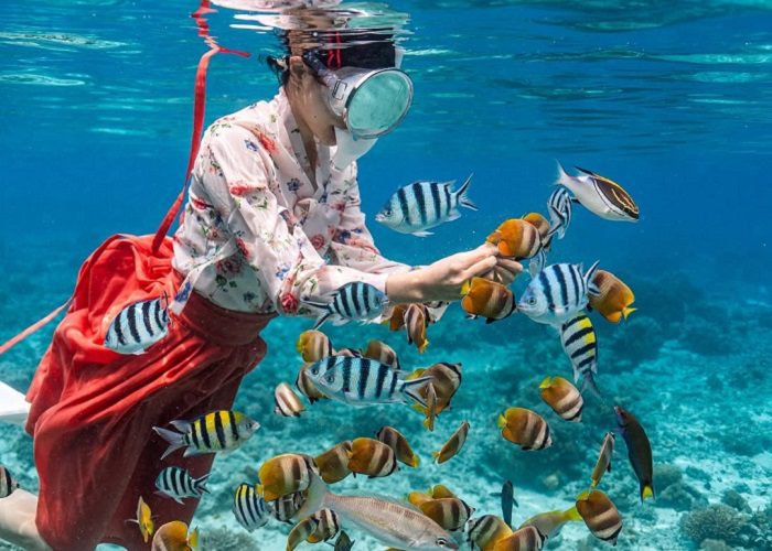 Đảo Sipadan Malaysia – Thiên đường lặn biển ‘đẹp điên’ của châu Á