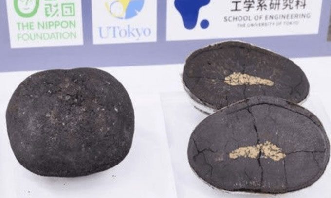 Mẫu vật khối kết hạch ở gần đảo Minami - Torishima.