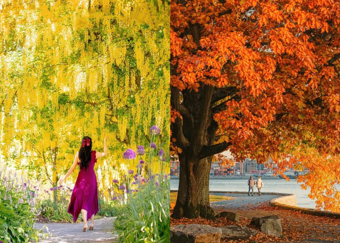 Kinh nghiệm du lịch Vancouver Canada – Thành phố cảng sôi động bậc nhất Bắc Mỹ