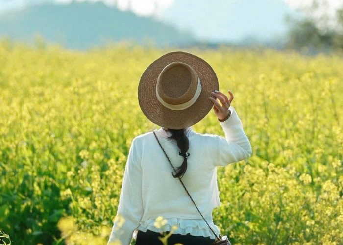 Lỏi Tươi Farm Mộc Châu – nông trại hoa cải vàng đẹp tựa cổ tích 