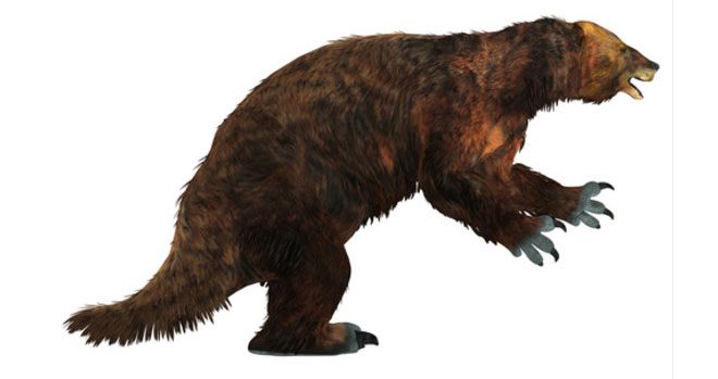 Megatherium Americanum có chiều dài lên đến 6 m và cận nặng 4 tấn.