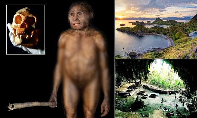 nguoi-hobbit Đối với người Lio, vẻ ngoài của người vượn như một thứ gì đó không hoàn toàn giống người.