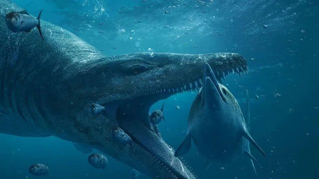"Sát thủ tối thượng kỷ Jura" vẫn còn nhiều bí ẩn