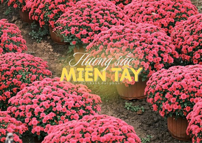 “Hương sắc miền Tây” trong những khung hình của Phan Thành Đạt