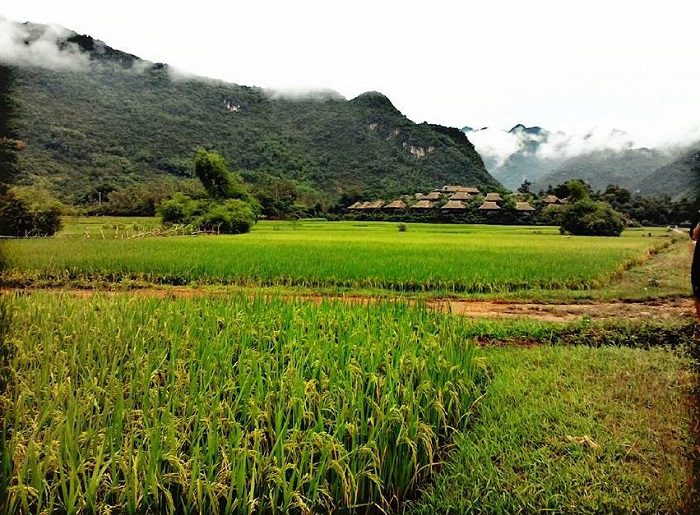 Lưu ý khi đến bản Poom Cọong Mai Châu