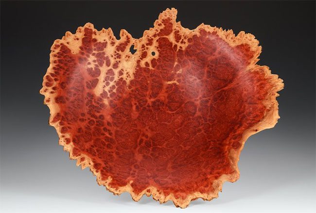 Hình ảnh vân gỗ rất đẹp cắt ra từ burl​.