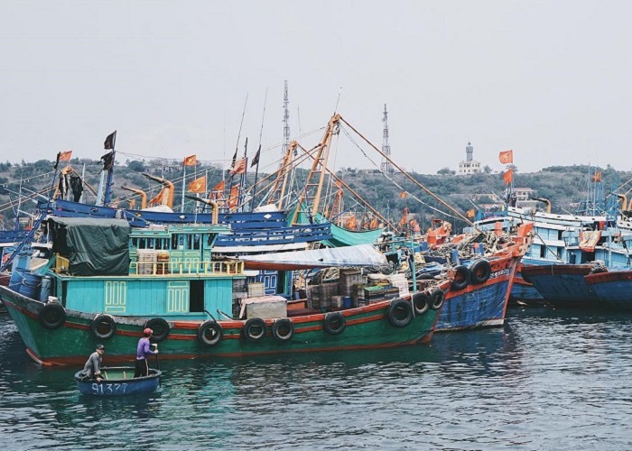 Đảo Bạch Long Vĩ Hải Phòng – Hòn đảo tuyệt đẹp với cảnh biển hoang sơ, thơ mộng