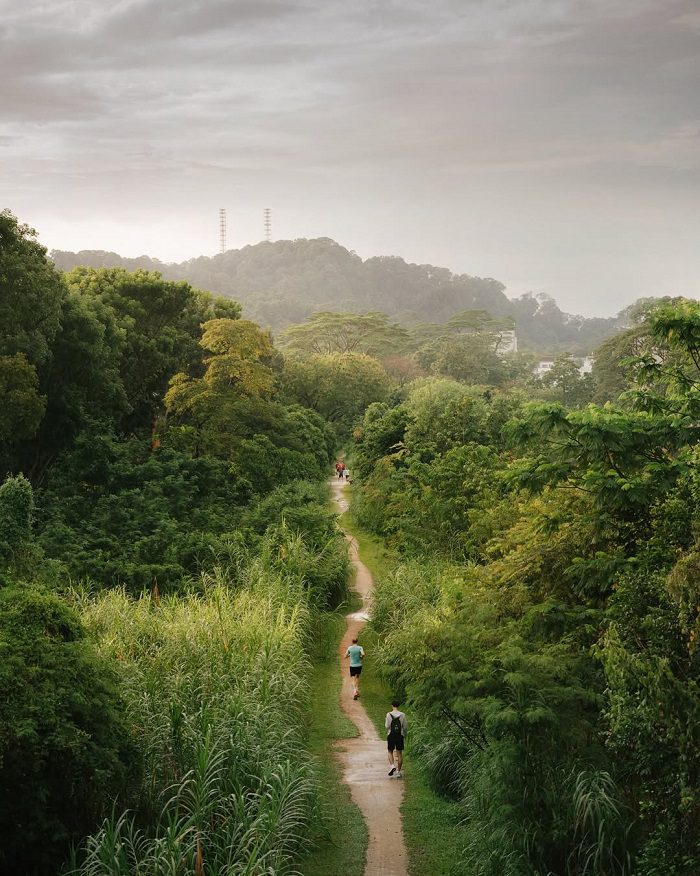 Khu bảo tồn thiên nhiên Bukit Timah ở đâu?