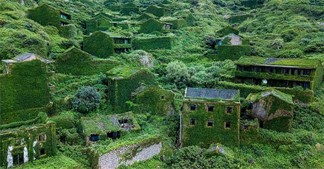 Top 10 di tích bỏ hoang bị thiên nhiên xâm chiếm