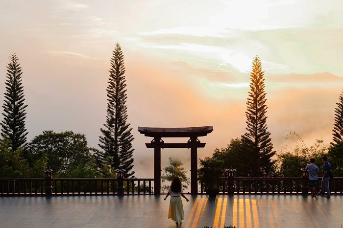 Chùa Linh Quy Pháp Ấn cách không xa mùa hoa mua tím Bảo Lộc