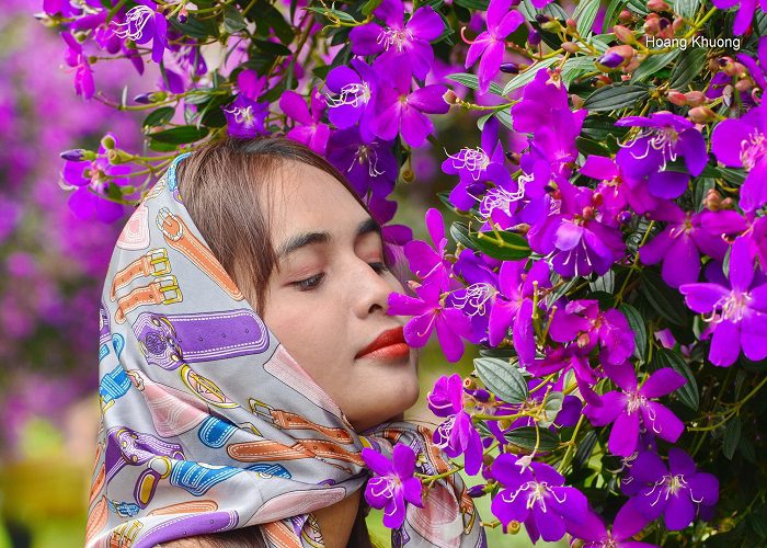 Mùa hoa mua tím Bảo Lộc: Bản nhạc hòa ca sắc màu của Tây Nguyên