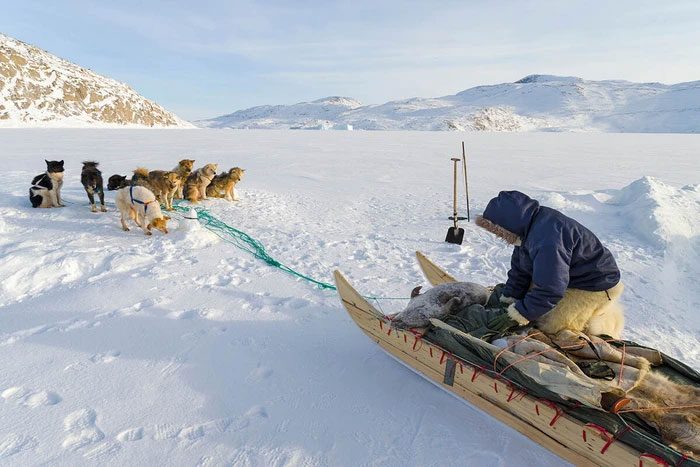 Ngày nay không phải tất cả các cộng đồng người Inuit đều giữ tập tục này.